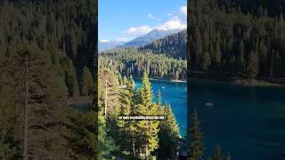 Plitvice Lakes Croatia | Nature’s Masterpiece #trendingshorts #bestplacestotravel #europetravel