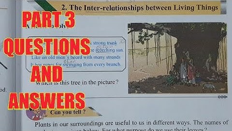 EVS CHAPTER 2 THE INTER - RELATIONSHIP BETWEEN LIVING THINGS STD 4  QUESTIONS AND ANSWERS IN HINDI