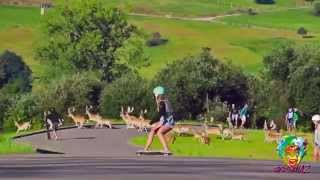 Oa2 Cabárceno - 2014 Teaser