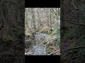 #nature go to hiking in Wales #travel 英國🇬🇧行山