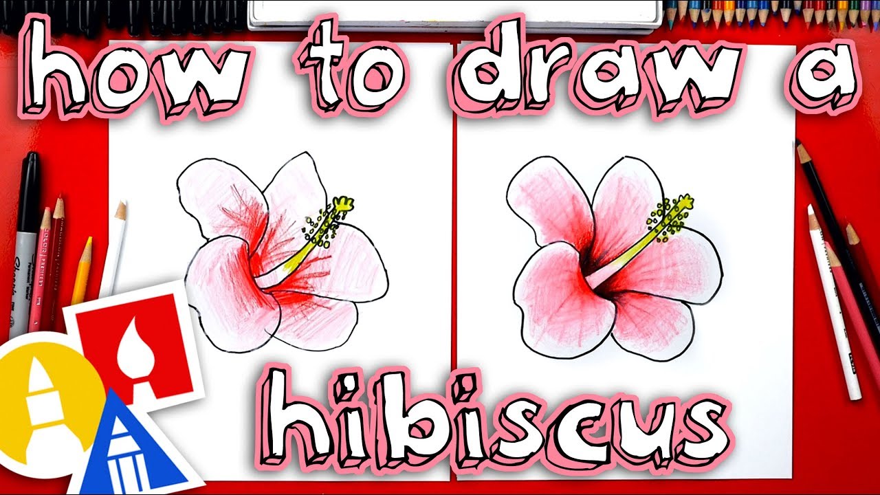 orange hibiscus flower drawing