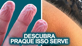 10 HABILIDADES INCRÍVEIS QUE SEU CORPO TEM E VOCÊ NUNCA SOUBE A FUNÇÃO.