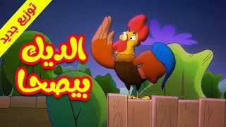 الديك بيصحا (توزيع جديد) - طيور بيبي Toyor Baby