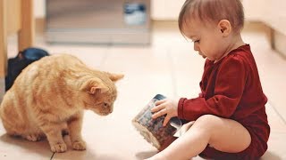 Kids Has A Cat Friend 🐱 Soo Funny Soo Cute 😂 - Crazy Cats Video by Crazy Cats 52 views 4 years ago 10 minutes, 48 seconds