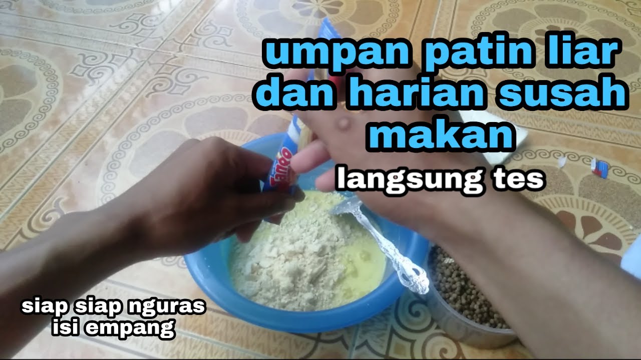 Racikan umpan jitu ikan patin liar dan kolam harian susah makan tanpa