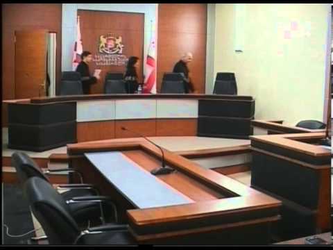 საქართველოს საკონსტიტუციო სასამართლომ ტრისტან მამაგულაშვილის სარჩელი დააკმაყოფილა