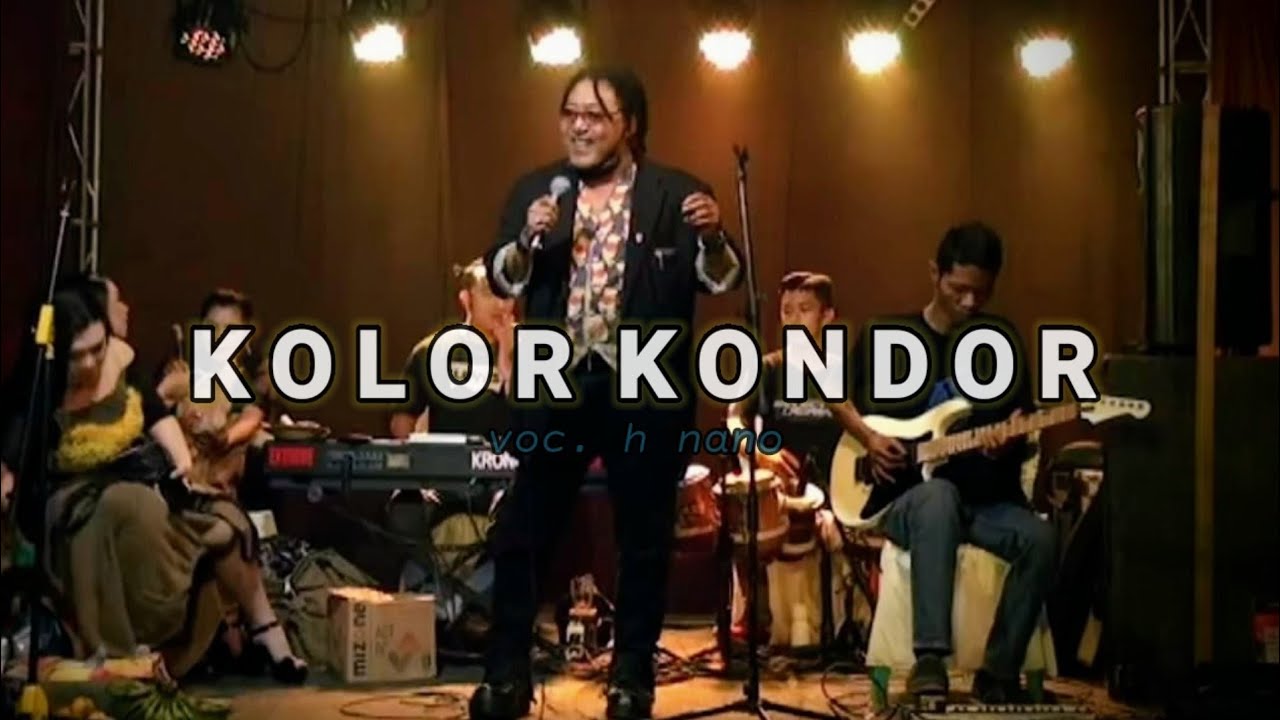 KOLOR KONDOR - VOC. H NANO