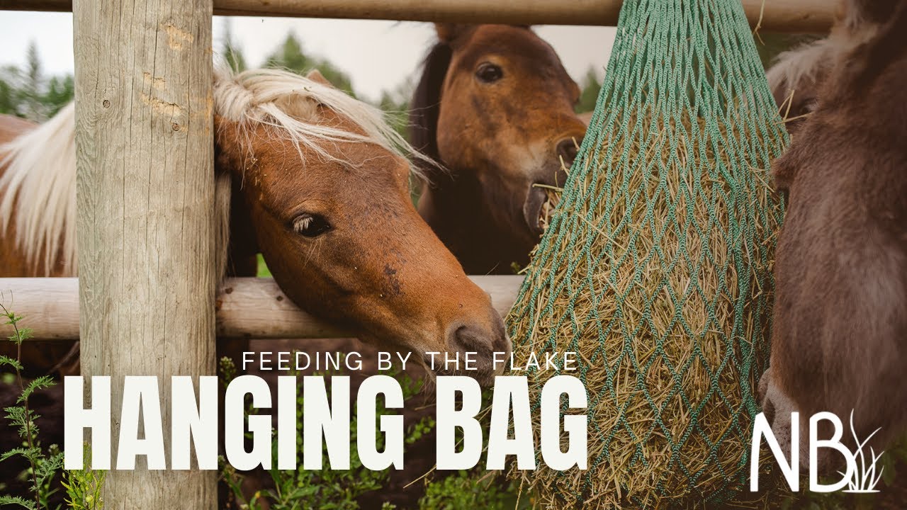 NAG Bag s Hanging Bag YouTube nag-bag-s-hanging-bag-youtube