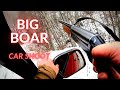 Κυνήγι αγριόχοιρου στο χιόνι σεζόν 2020-21/Wild boar hunting in the snow