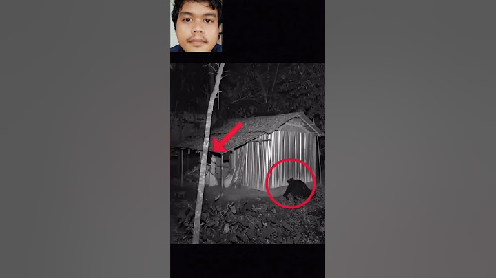 #setan