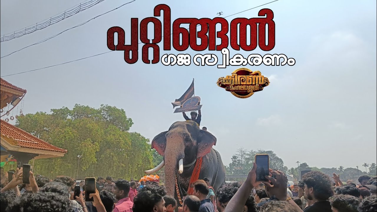 പുറ്റിങ്ങൽ പൂരം | ഗജവീരന്മാരുടെ രാജകീയ വരവ് 🔥|❤‍🔥NGK, ബാലൻ, കേശു 🔥|puttingal pooram 2025