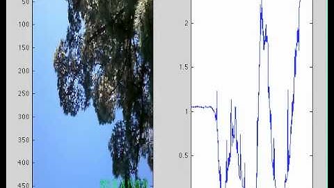Automatic leaf area index estimation of trees using video and gap fraction analysis