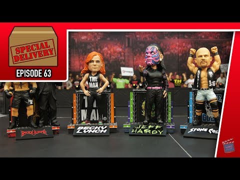 Special Delivery Episode 63: FOCO - WWE - Lesnar, Heyman, Lynch, Hardy, Austin Bobbleheads