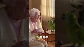 Funny Parrot With Old Woman