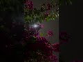 kabhi sun to zara💔🥺|kahani suno#kahanisuno#kaifikhalil#sadsong#lovesong#kabhisuntozara#love#sadvibes