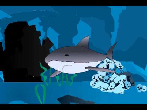 Shark VS Dolphin - Jamaican Animated Comedy 