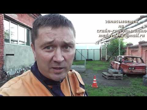 Видео: Питомник Кашель у собак: причины, факты и мой опыт