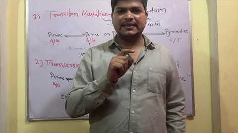 Mutation. Transition and transversion mutation for CSIR net JRF icmr dbt gate M.SC and all exams