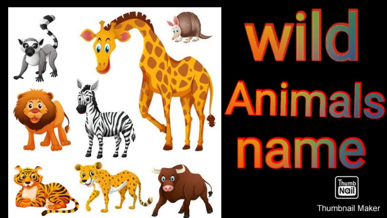 Wild animals name in English and hindi/जंगली जानवरों के नाम।हिंदी एवं