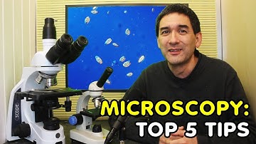5 Lessons I Learned in 7 Years of Microscopy