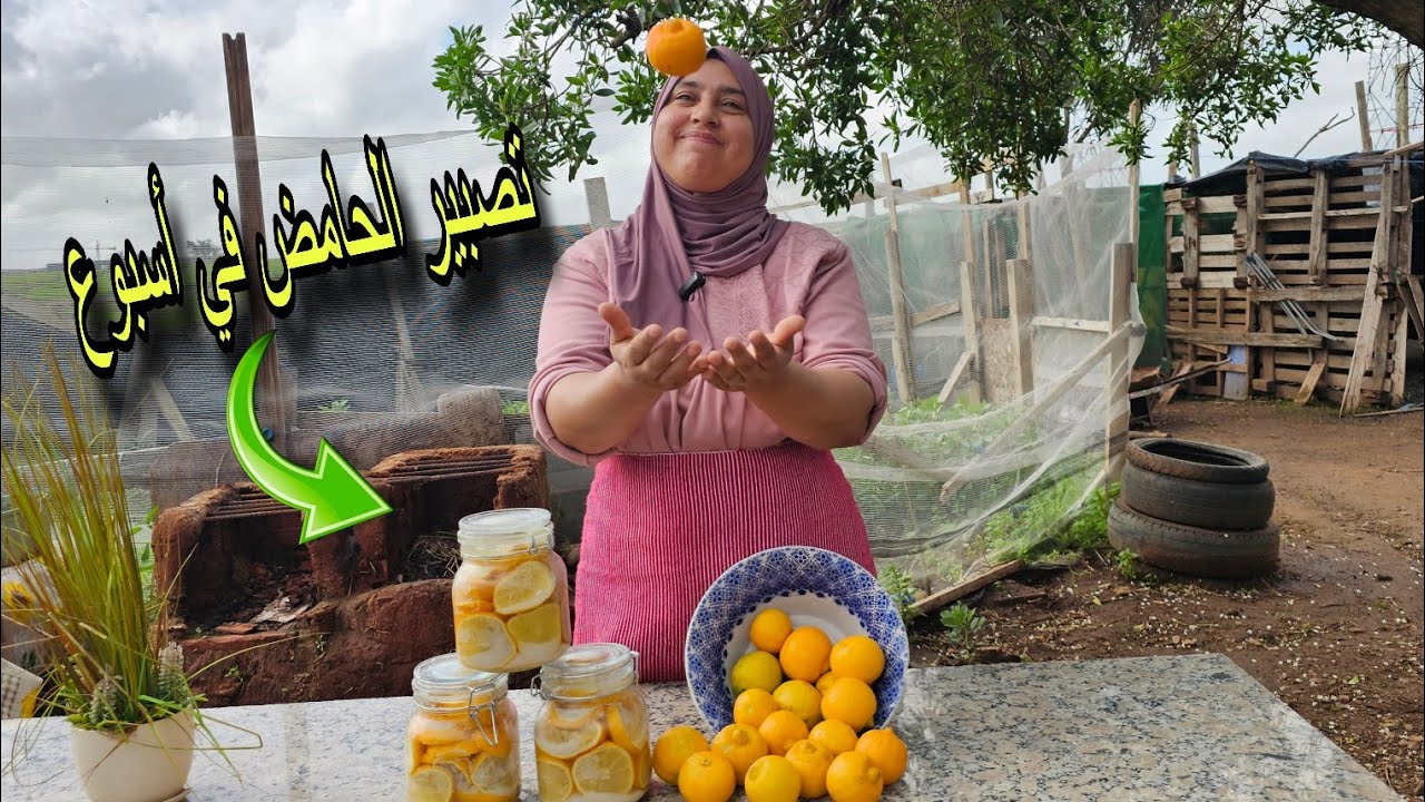 تحضير الحامض المصبر كايوجد في أسبوع 💪زراعة الجلبانة وتهييء الارض في جو شتوي