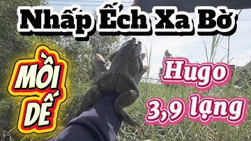 Câu Nhấp xa bờ cảm giác quá đã nhấp ếch mùa nước nổi 2025 lên hugo khủng 3,9 lạng