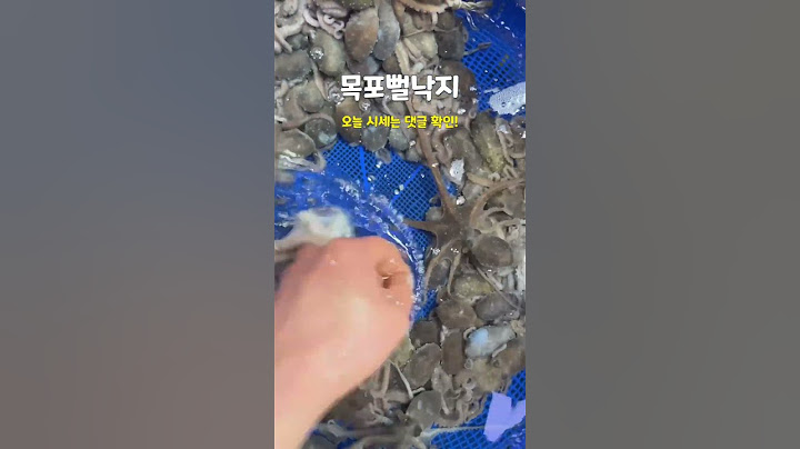 [목포세발낙지] 낙지가 많이 잡히는 물때입니다! #해감낙지 #활낙지 #산낙지 #세발낙지 #탕탕이  2025년 4월 8일