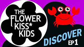 FLOWERKISS*KIDS...DISCOVER..ROCKPOOLS