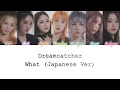 Dreamcatcher - What (Japanese Ver) Kan/Rom/Eng Color Coded Lyrics