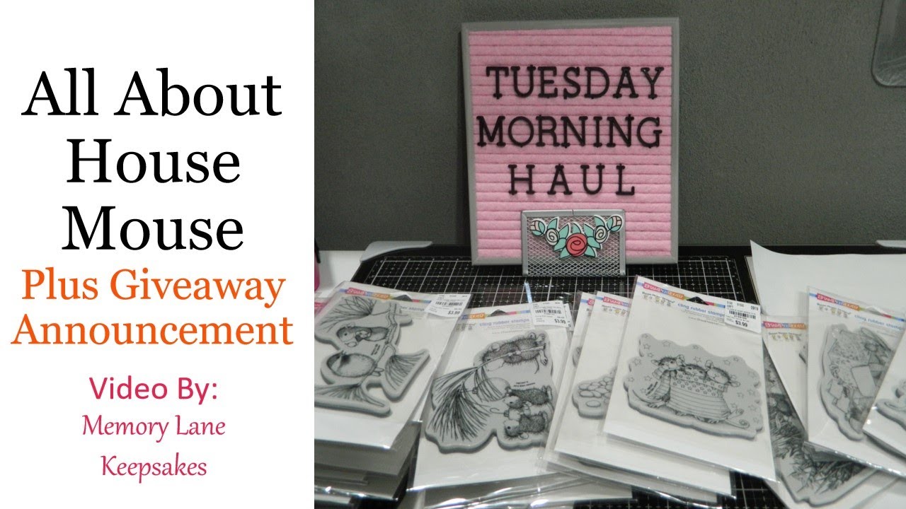 Tuesday Morning Mega Haul (All About House Mouse) (Plus A Giveaway Announcement)! Oct 8th, 2019
