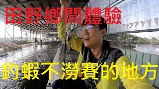 [嘉義VLOG] 體驗戶外特有的釣蝦風情- 歡喜就好釣蝦場