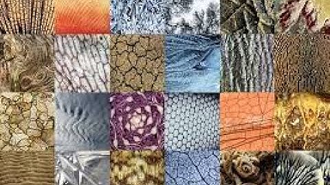 MATHEMATICS IN THE MODERN WORLD. IMPORTANCE OF MATHEMATICS IN LIFE