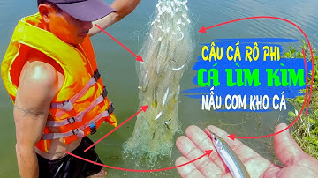 GIĂNG LƯỚI CÁ LÌM KÌM KHO SIÊU NGON, CÂU CÁ RÔ PHI, ẨM THỰC HỒ ĐÁ ĐEN | NATURAL FISHING
