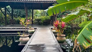 Tour A Phenomenal Tropical Garden No Narration