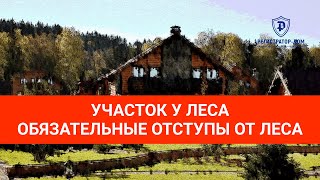 видео: Земельный участок у леса - обязательные отступы от леса при строительстве дома. #земельныйучасток картинка: Земельный участок у леса - обязательные отступы от леса при строительстве дома. #земельныйучасток
