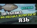Download РУССКАЯ РЫБАЛКА 4. Фарм серебра на Волхове. Язь на бойлы с пристани! РУССКАЯ РЫБАЛКА 4. Фарм серебра на Волхове. Язь на бойлы с пристани!