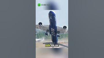 [P.2] Phát hiện thùng container dưới biển và bên trong khiến nhà khảo cổ kinh ngạc #shorts