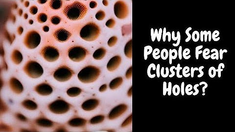 Why some people fear clusters of holes | Psychology behind trypophobia