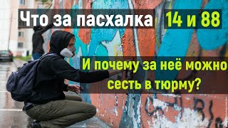 ЧТО ЗА ПАСХАЛКА 14 88 И ПОЧЕМУ ЭТО МОЖЕТ СТАТЬ ПРИЧИНОЙ СЕСТЬ В Тюрьму?! #history #история