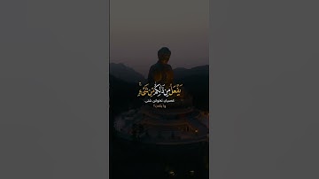 الله الذى خلقكم ثم رزقكم ا سورة الروم ا القارئ رعد الكردي