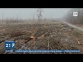 ZELENI ODRED: "Hrvatske šume uništavaju i sustavno devastiraju hrvatske šume"