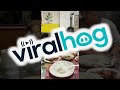Bulldog Gets Teased at the Table || ViralHog