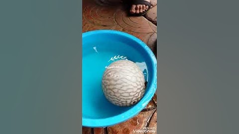 تفكر في حلق الله واستمع لئجمل تلاوه بصوت إسلام صبحي ،هذا خلق الله