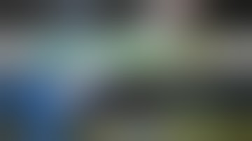 Weed Star Tv Exclusive. Hash Bash 2017. Weed, Protests, and more Weed!