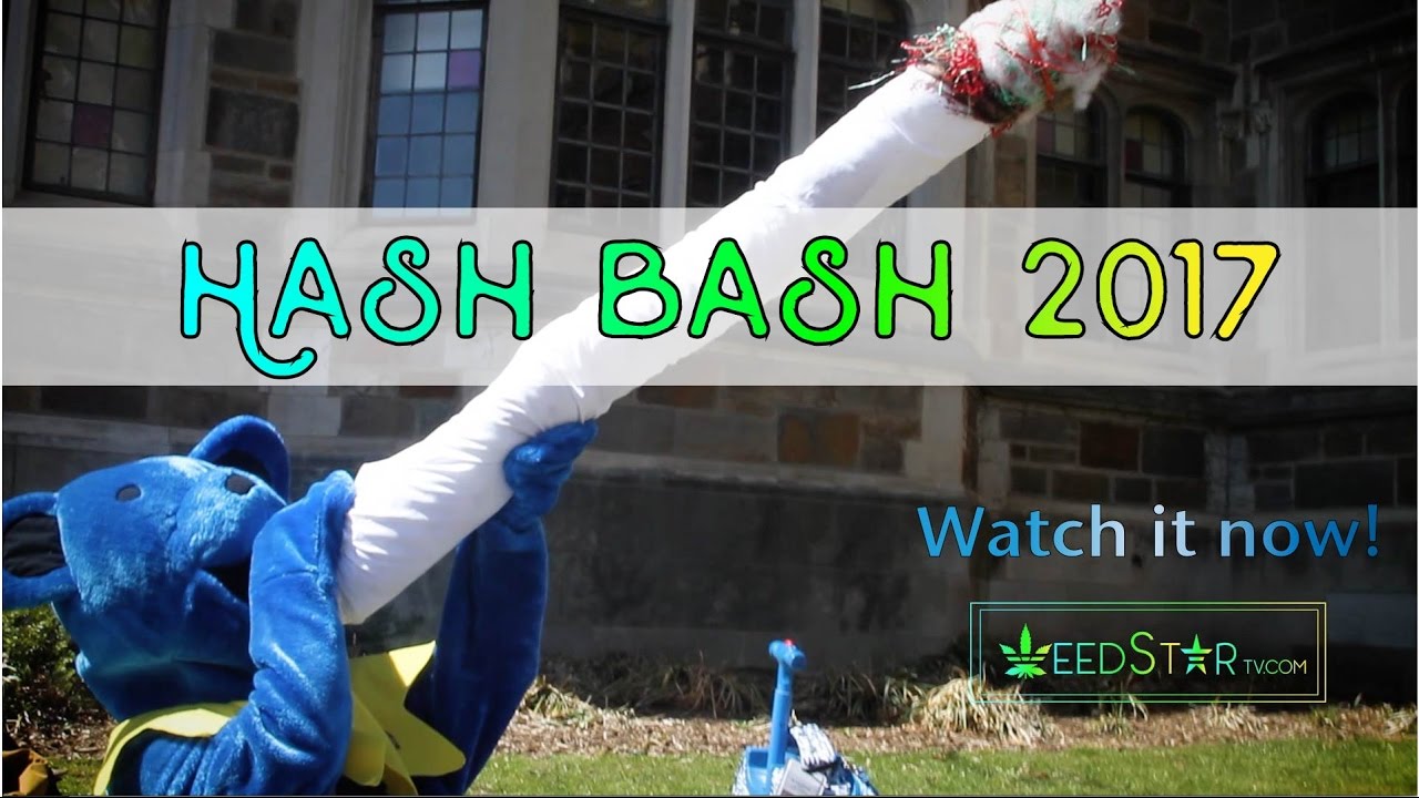 Weed Star Tv Exclusive. Hash Bash 2017. Weed, Protests, and more Weed!