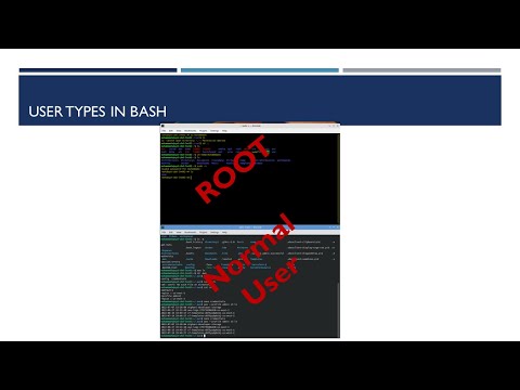 Introduction to Root and Normal Users in Linux Shell Environment