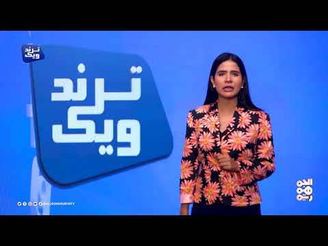 الزبيدي والمسند: رسائل يمنية من التاريخ إلى الحاضر