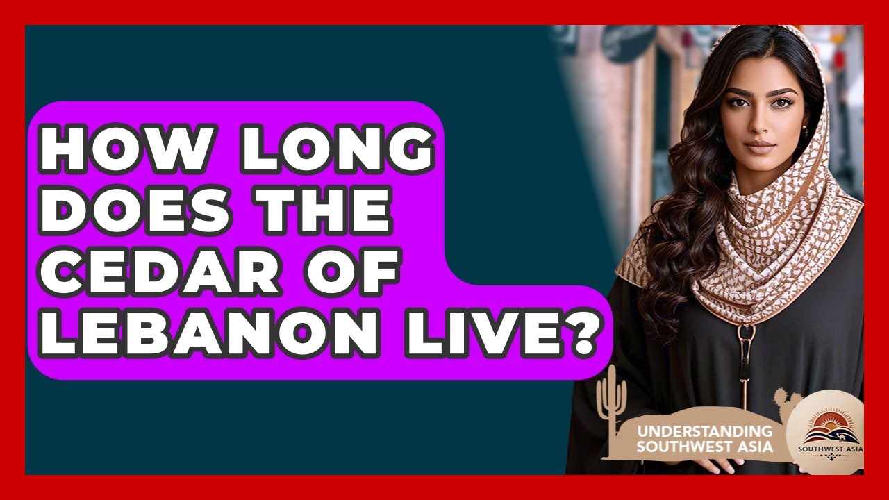 How Long Does The Cedar Of Lebanon Live? - Understanding Southwest Asia