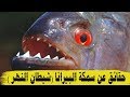 سمكة البيرانا | السمكة الاخطر في العالم !! HD