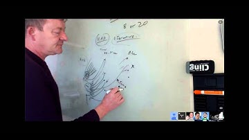 SAFE Network: Technical Overview of Routing